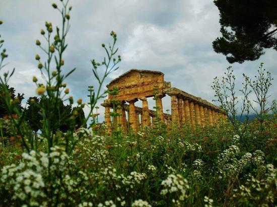 Museo Archeologico Nazionale di Paestum